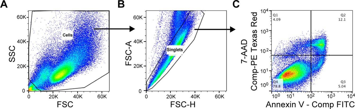 Figures and data in Repression of hypoxia-inducible factor-1 ...