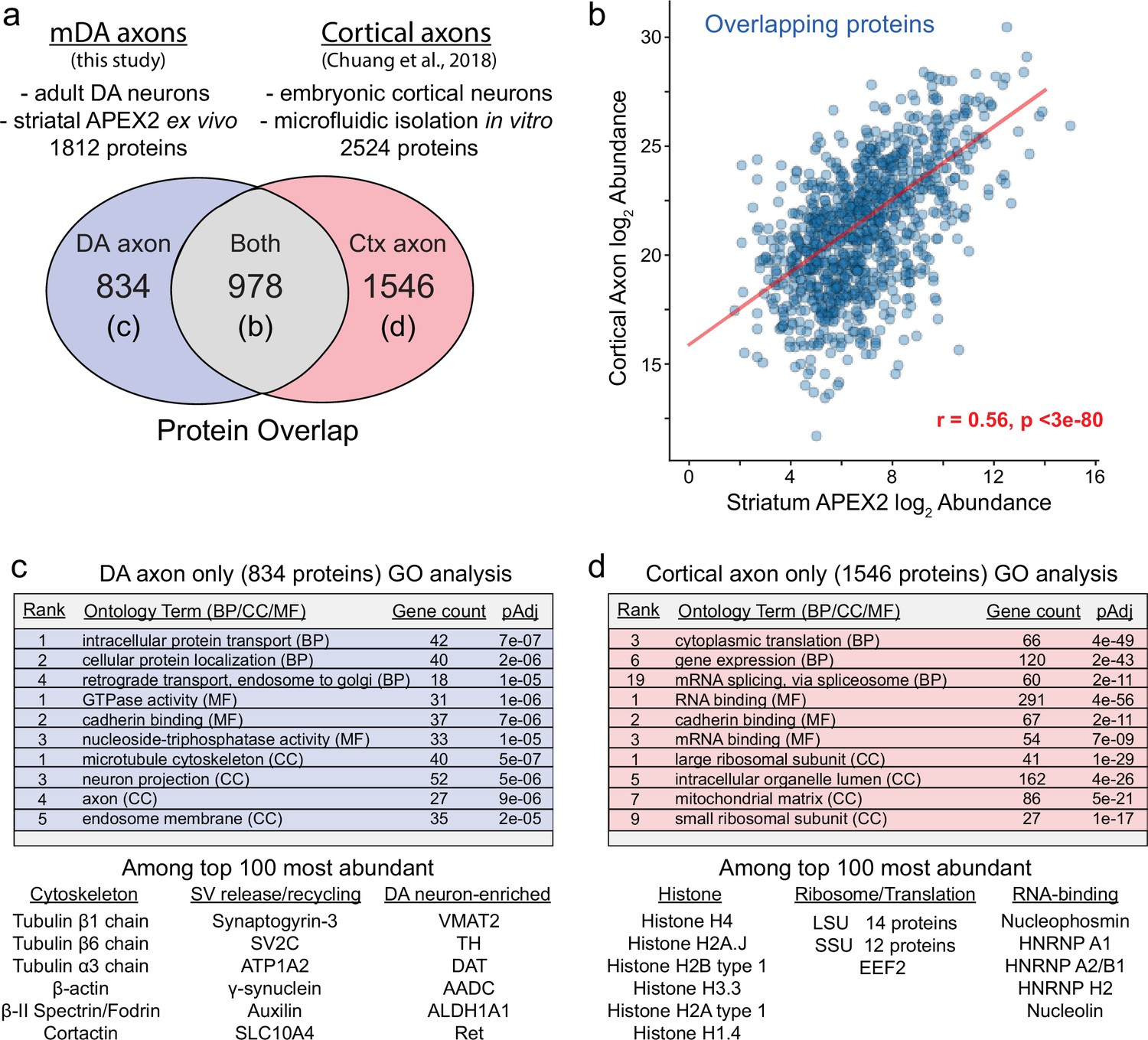 Figures And Data In Subcellular Proteomics Of Dopamine Neurons In The