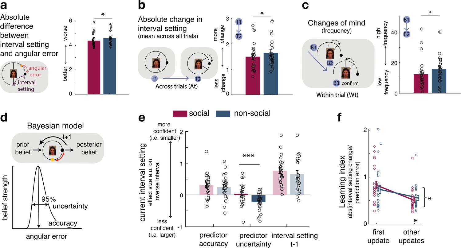 Neural activity tracking identity and confidence in social