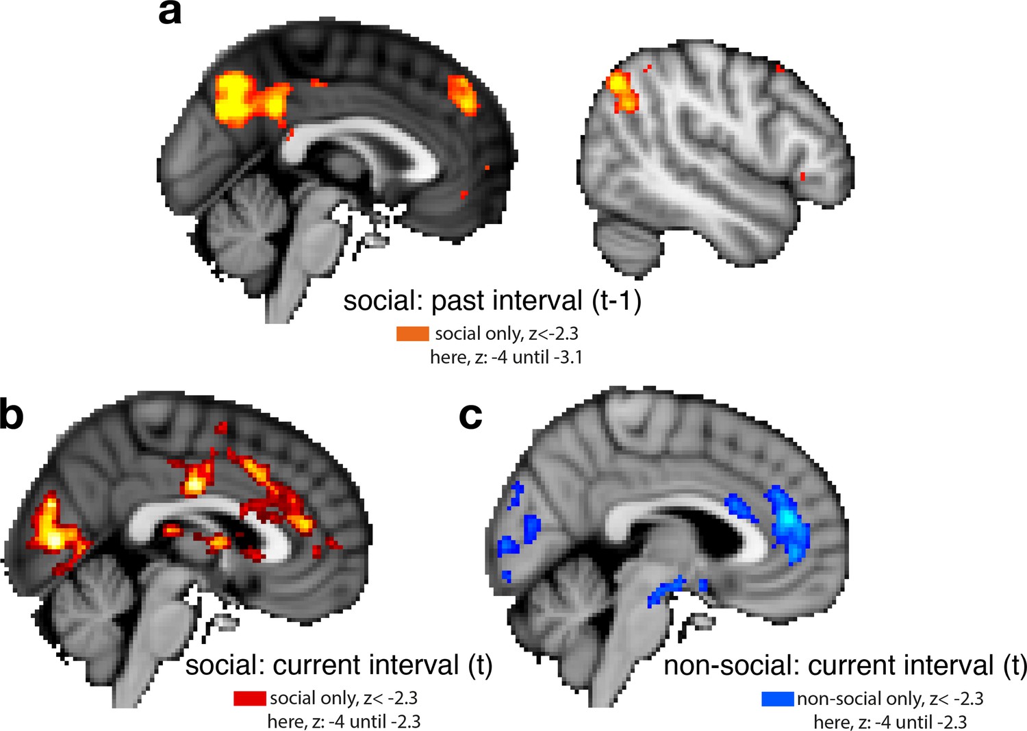 Neural activity tracking identity and confidence in social