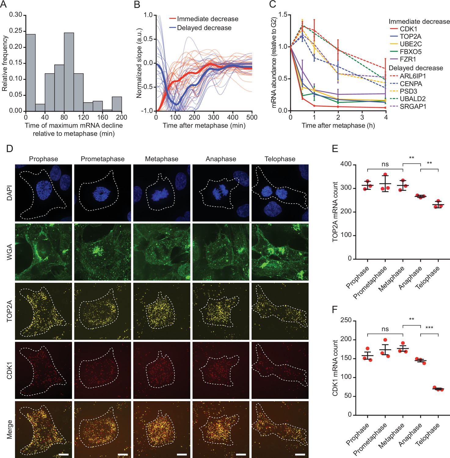 Figures And Data In Time Resolved Single Cell Sequencing Identifies