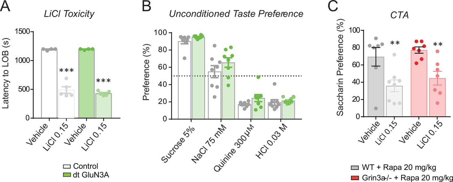 Control Of Protein Synthesis And Memory By Glun3a Nmda Receptors Through Inhibition Of Git1 Mtorc1 Assembly Elife