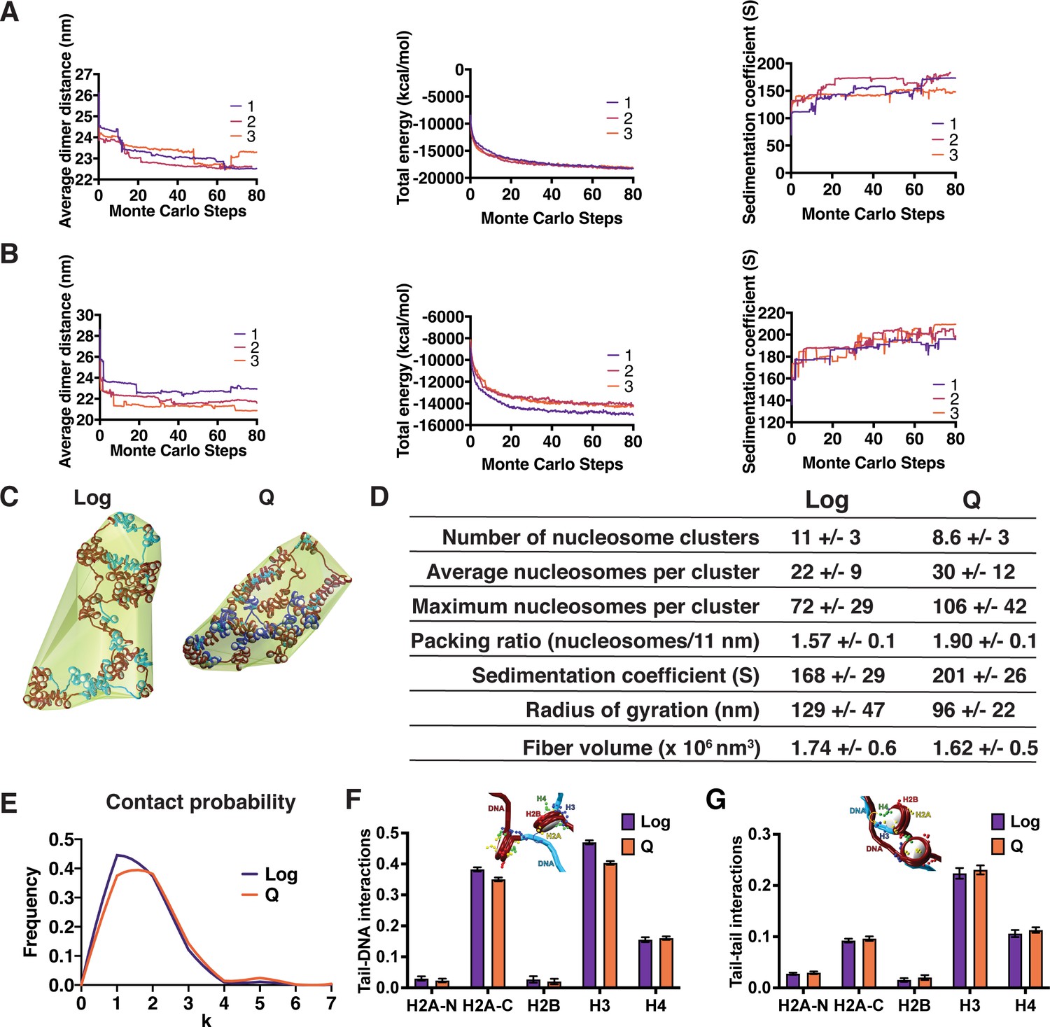 Local chromatin fiber folding represses transcription and loop 