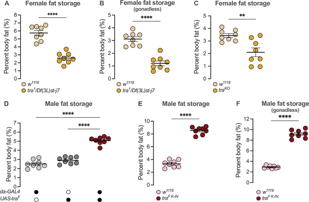 Sex Determination Gene Transformer Regulates The Male Female Difference In Drosophila Fat Storage Via The Adipokinetic Hormone Pathway Elife