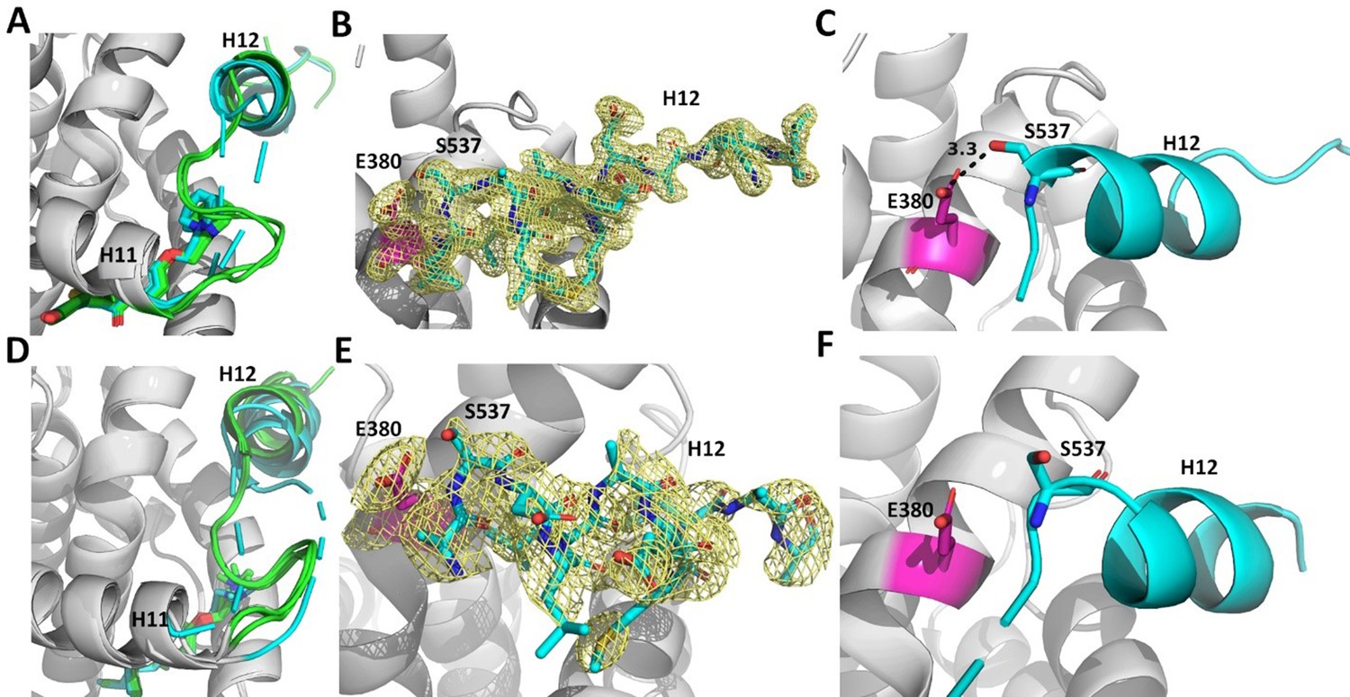 Figures And Data In Stereospecific Lasofoxifene Derivatives Reveal The