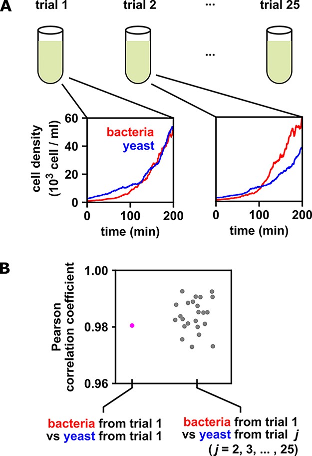Data-driven causal analysis of observational biological time