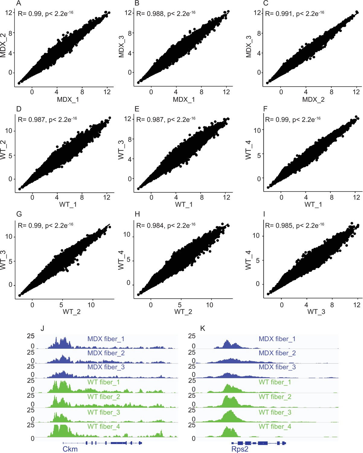 Figures And Data In Application Of Atac Seq For Genome Wide Analysis Of