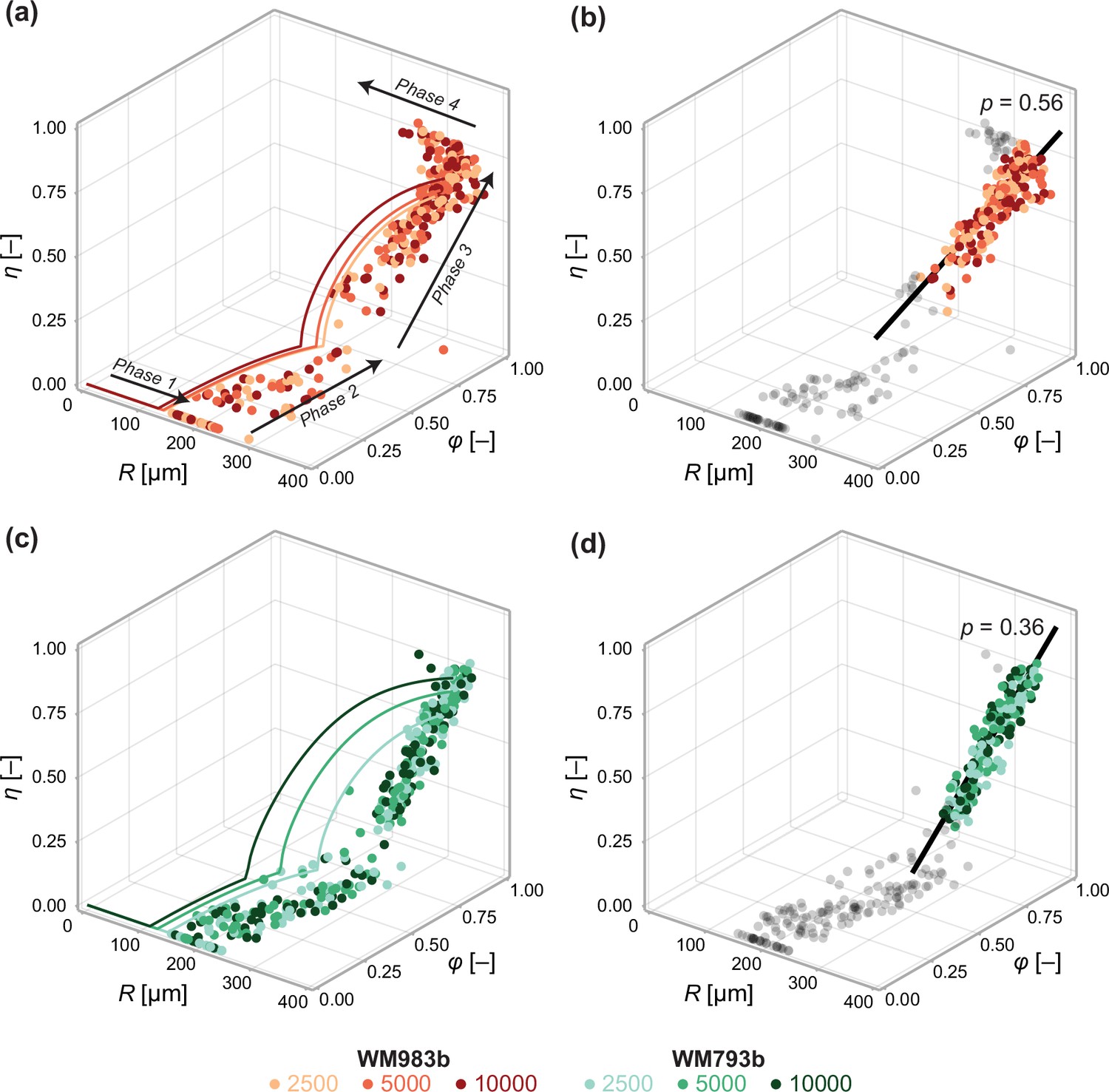 Quantitative analysis of tumour spheroid structure | eLife