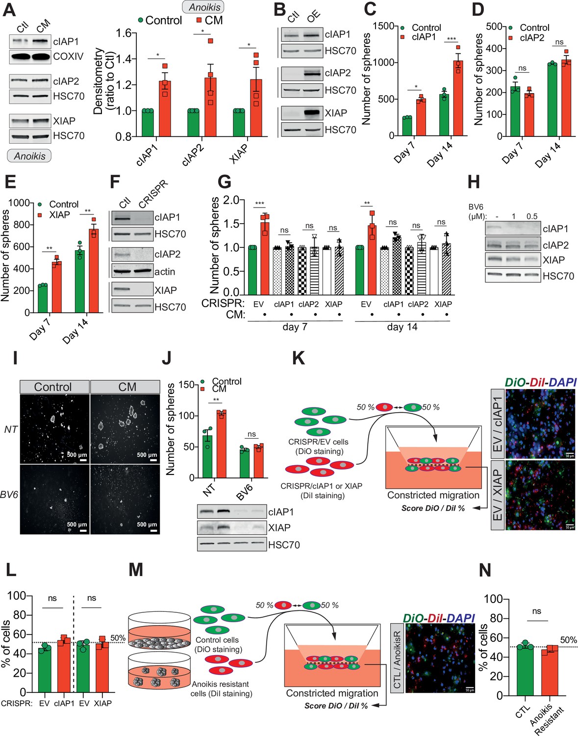 Figures and data in confined migration promotes cancer metastasis