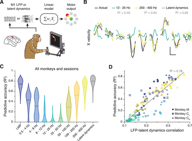 Local Field Potentials Reflect Cortical Population Dynamics In A Region