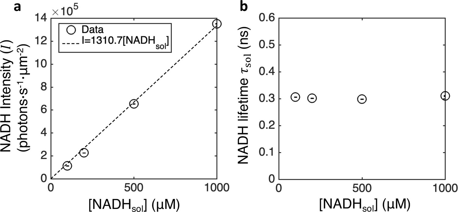 Figures And Data In A Coarse Grained Nadh Redox Model Enables Inference