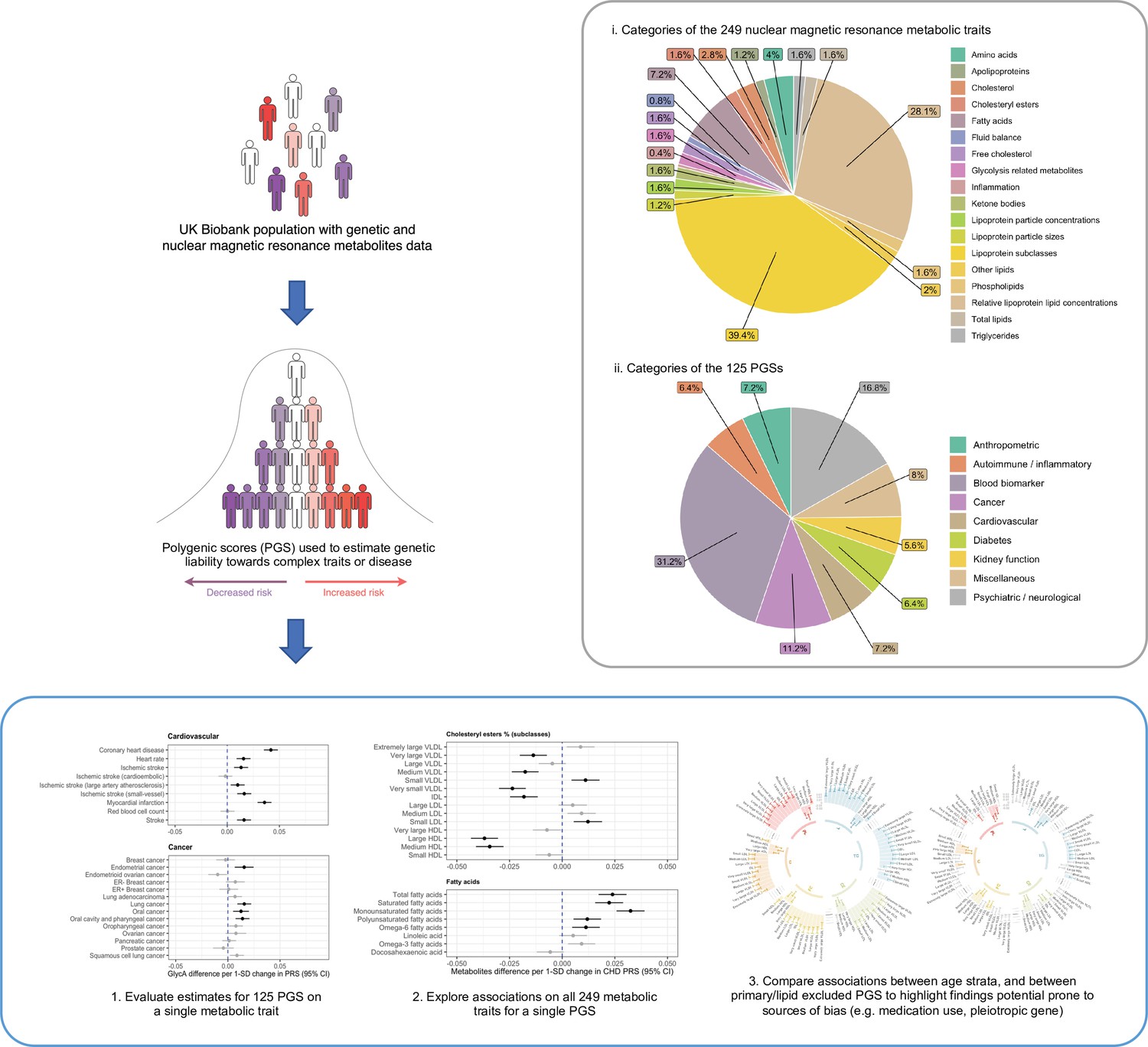 Genetic Determinants Of Polygenic Prediction Accuracy Within A Popul