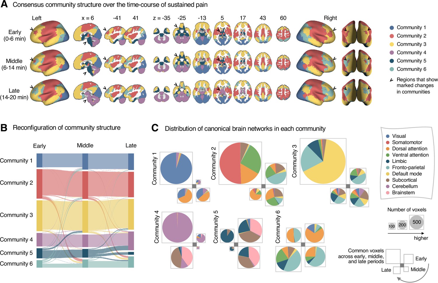 Very high density EEG elucidates spatiotemporal aspects of early visual  processing