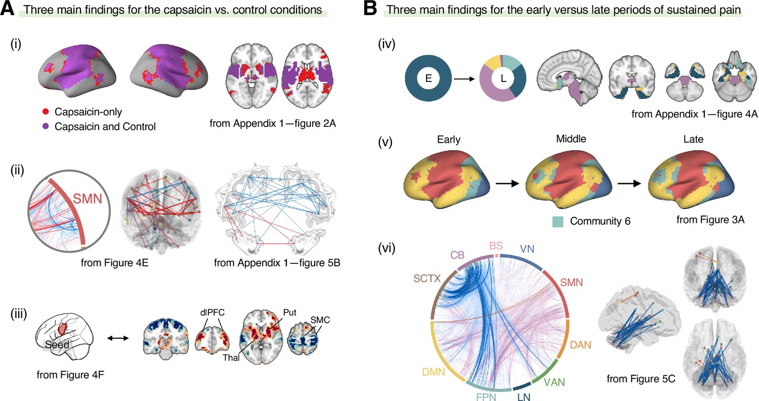 Simple Tasks Don't Test Brain's True Complexity - TMC News