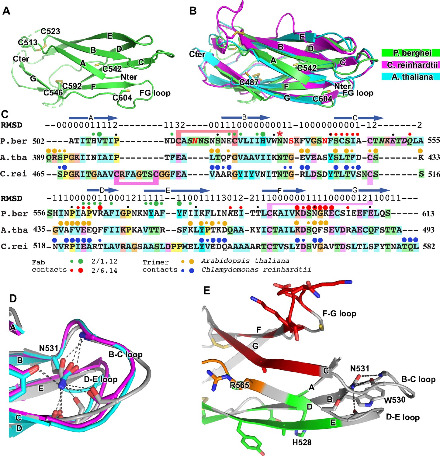 Structural basis of malaria transmission blockade by a monoclonal ...