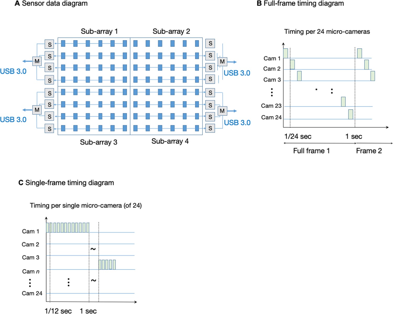 Y-shaped P. polycephalum evades blue light region slightly faster than