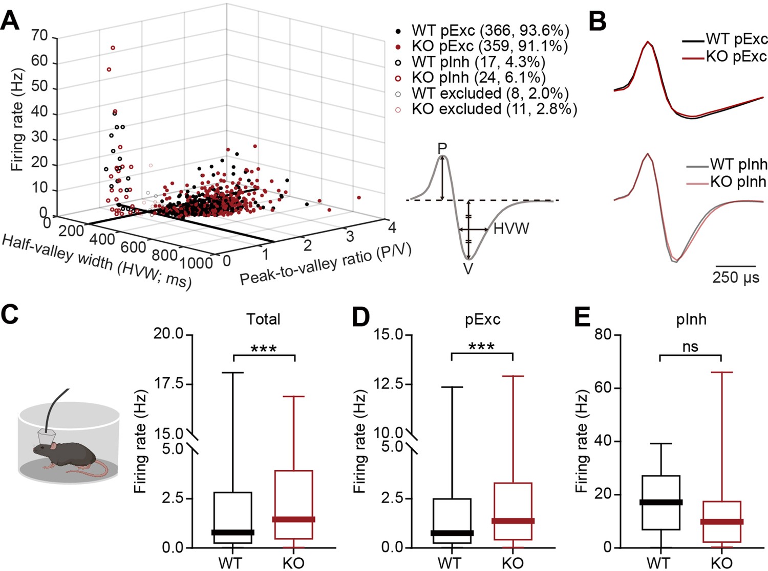 Suppressed prefrontal neuronal firing variability and impaired social ...