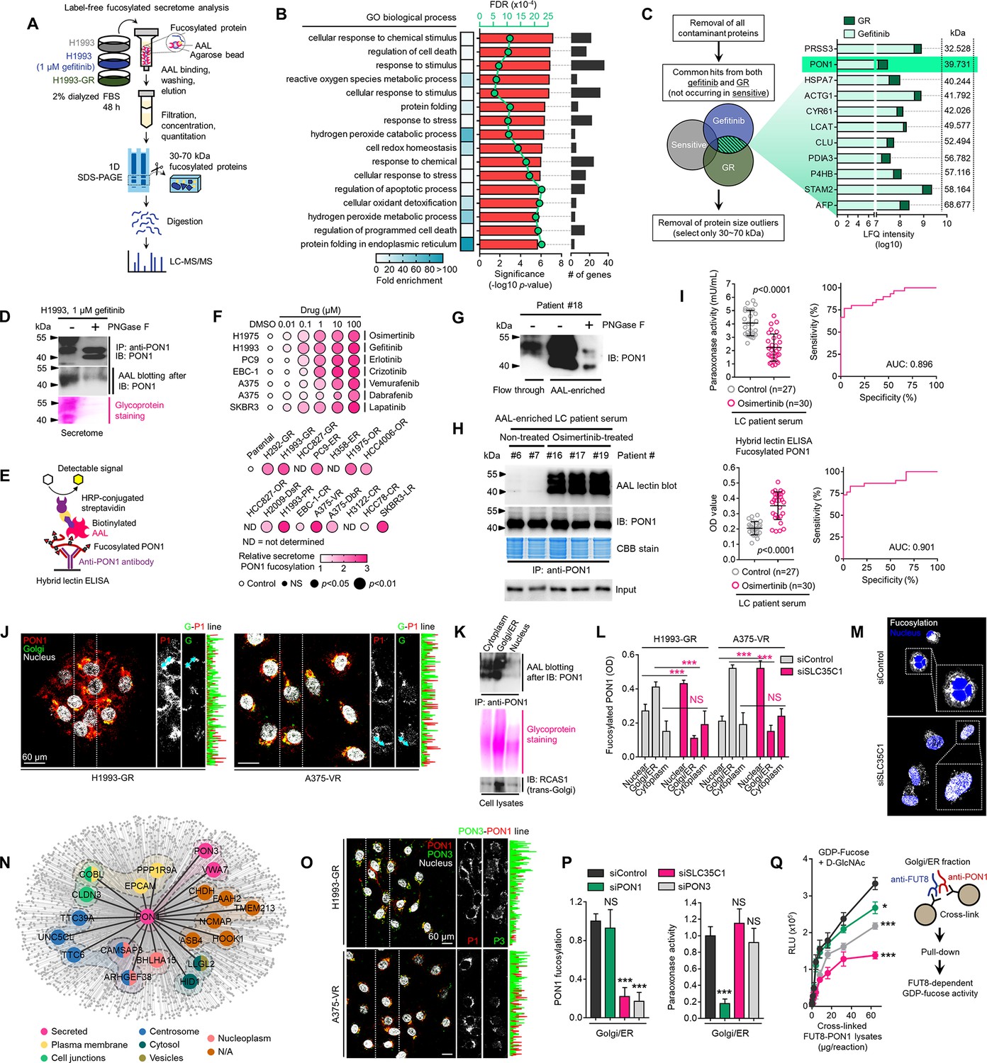 Multi targeted therapy resistance via drug induced secretome