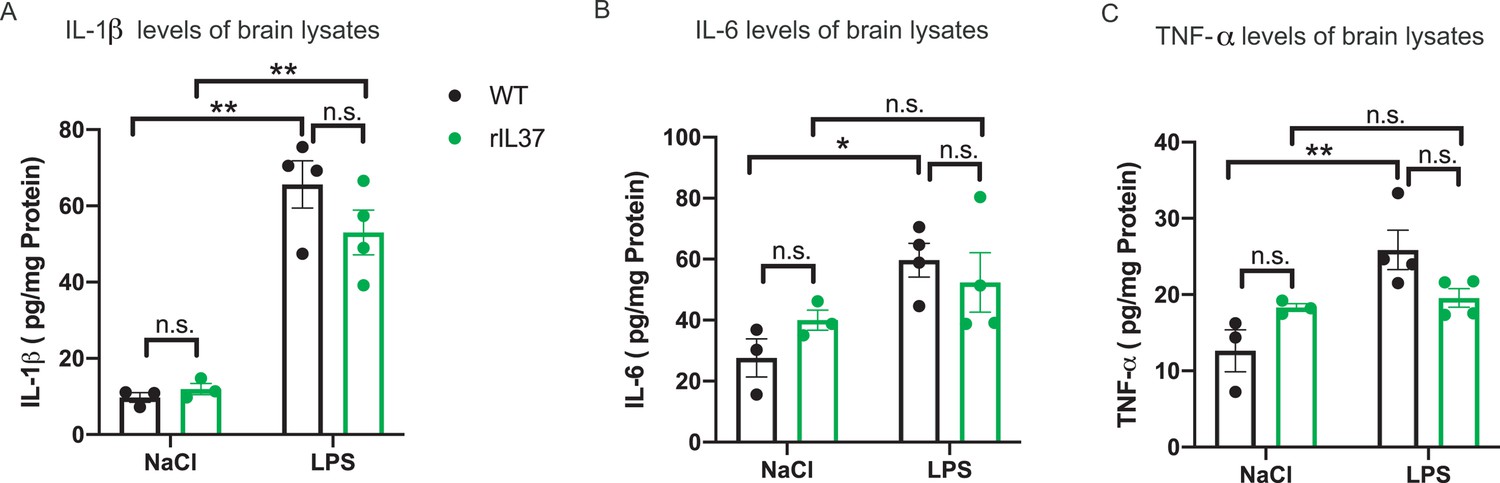 IL-37 expression reduces acute and chronic neuroinflammation and 