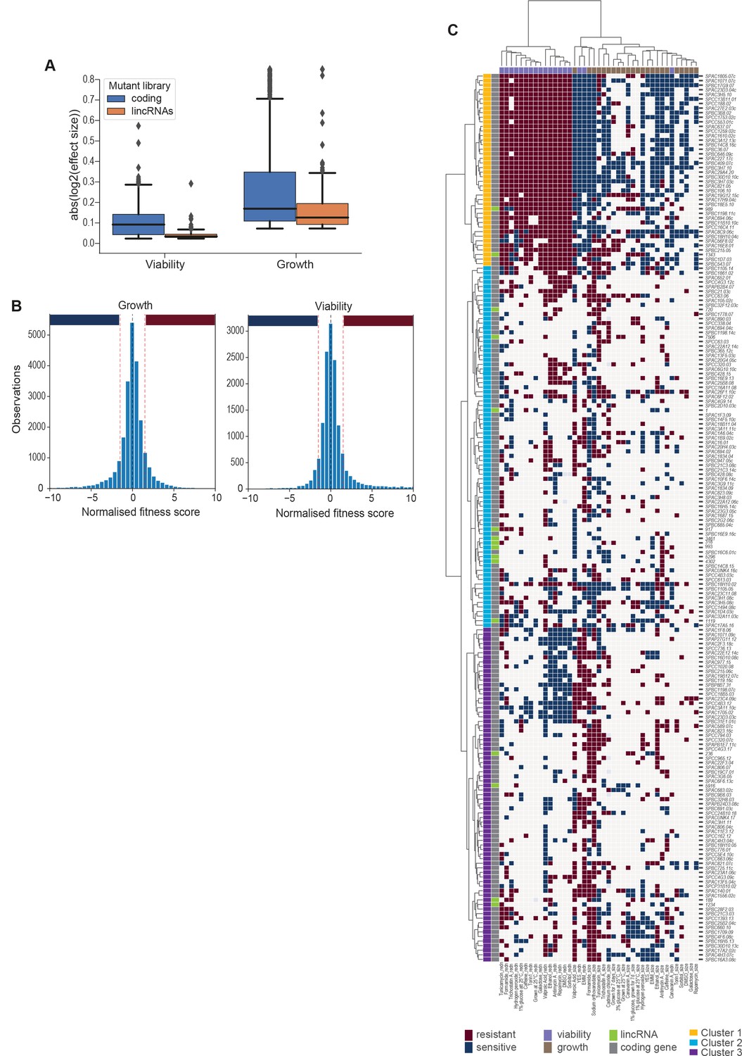 Figures And Data In Functional Profiling Of Long Intergenic Non Coding