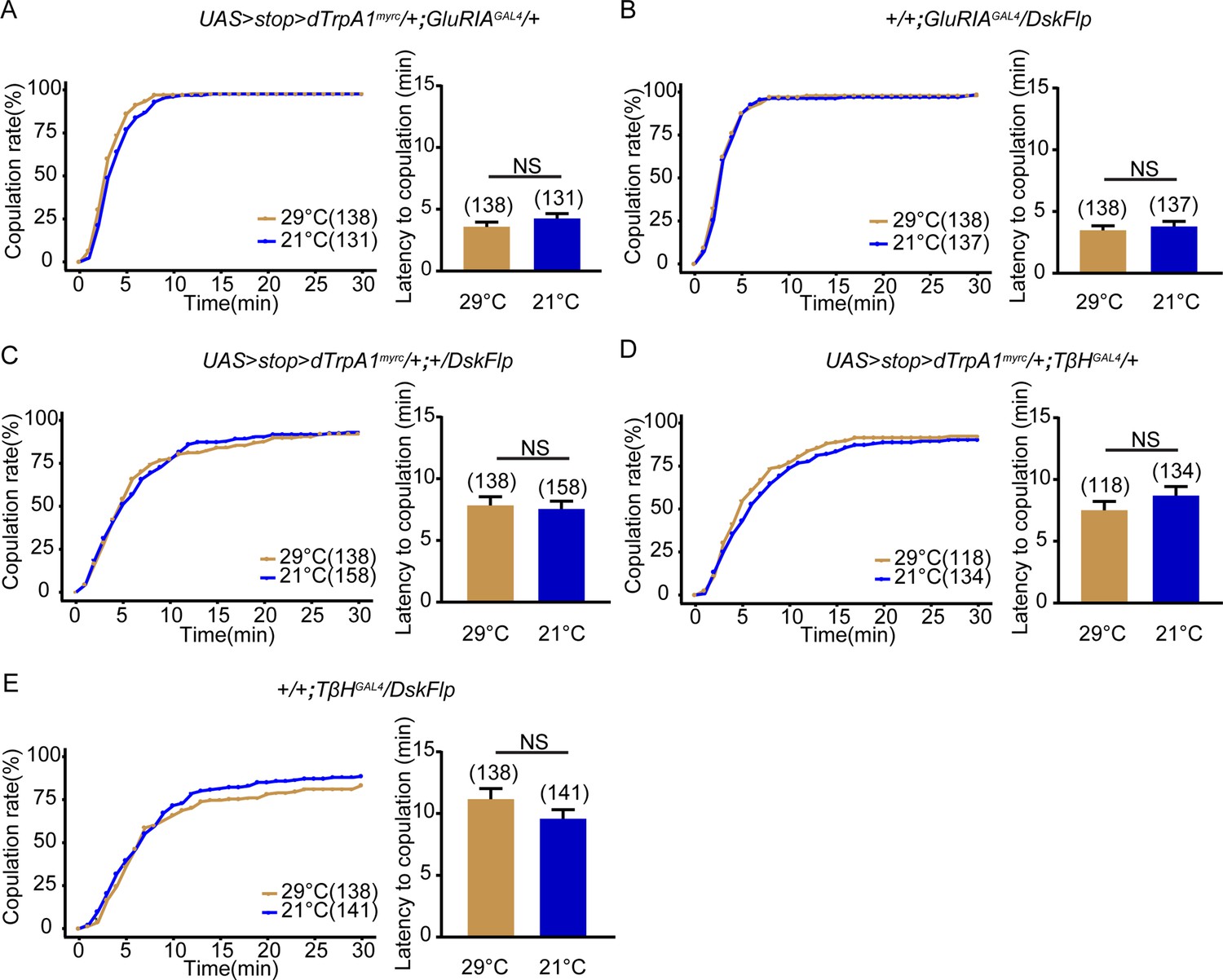 Figures And Data In Drosulfakinin Signaling Modulates Female Sexual ...