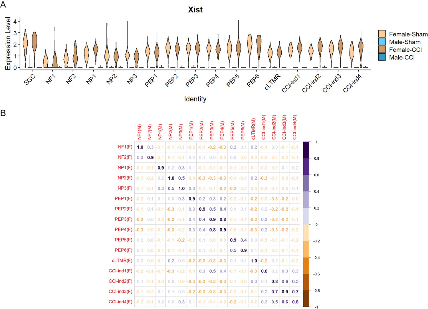 Figures and data in scRNA-sequencing reveals subtype-specific ...