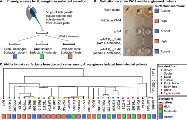 Evolution And Regulation Of Microbial Secondary Metabolism | ELife