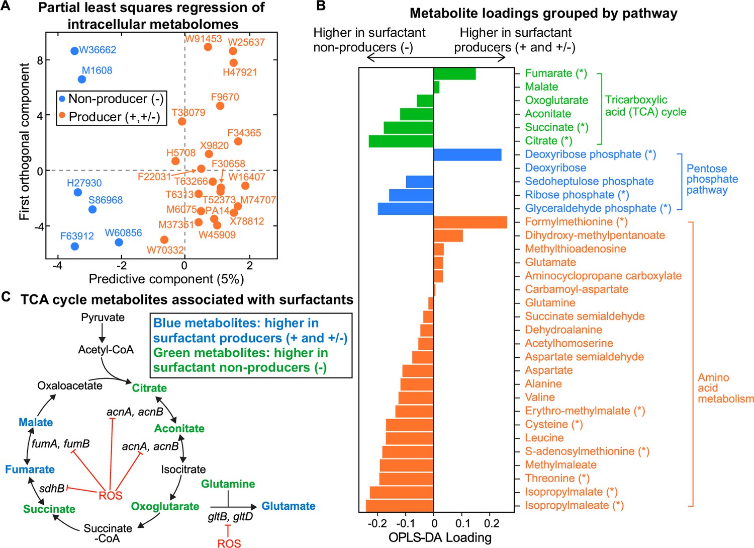 Evolution And Regulation Of Microbial Secondary Metabolism | ELife