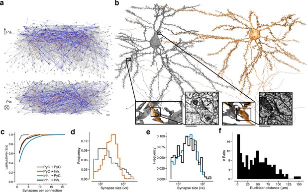 Binary And Analog Variation Of Synapses Between Cortical Pyramidal ...