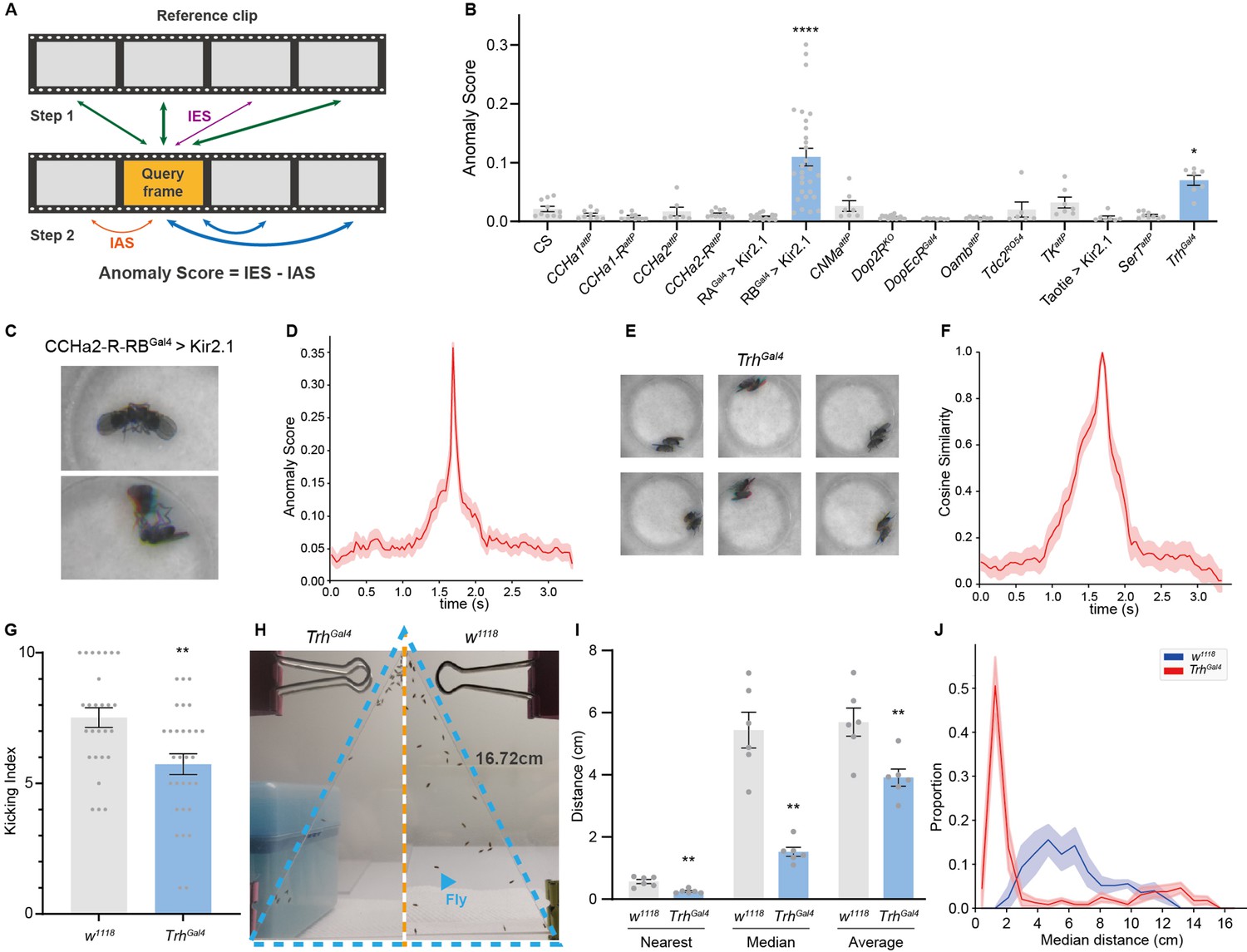 Selfee, self-supervised features extraction of animal behaviors | eLife