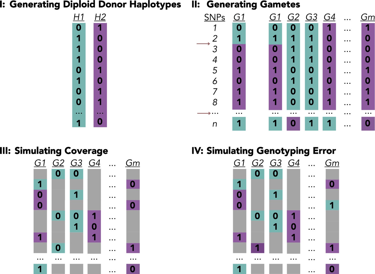 A method for low-coverage single-gamete sequence analysis