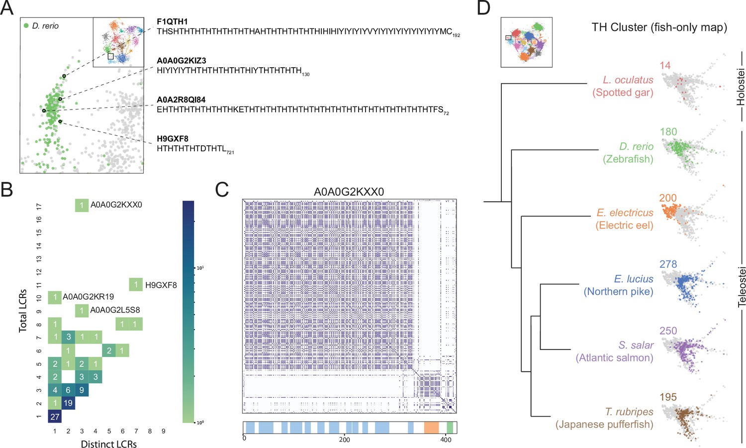 A Unified View Of Low Complexity Regions LCRs Across Species ELife