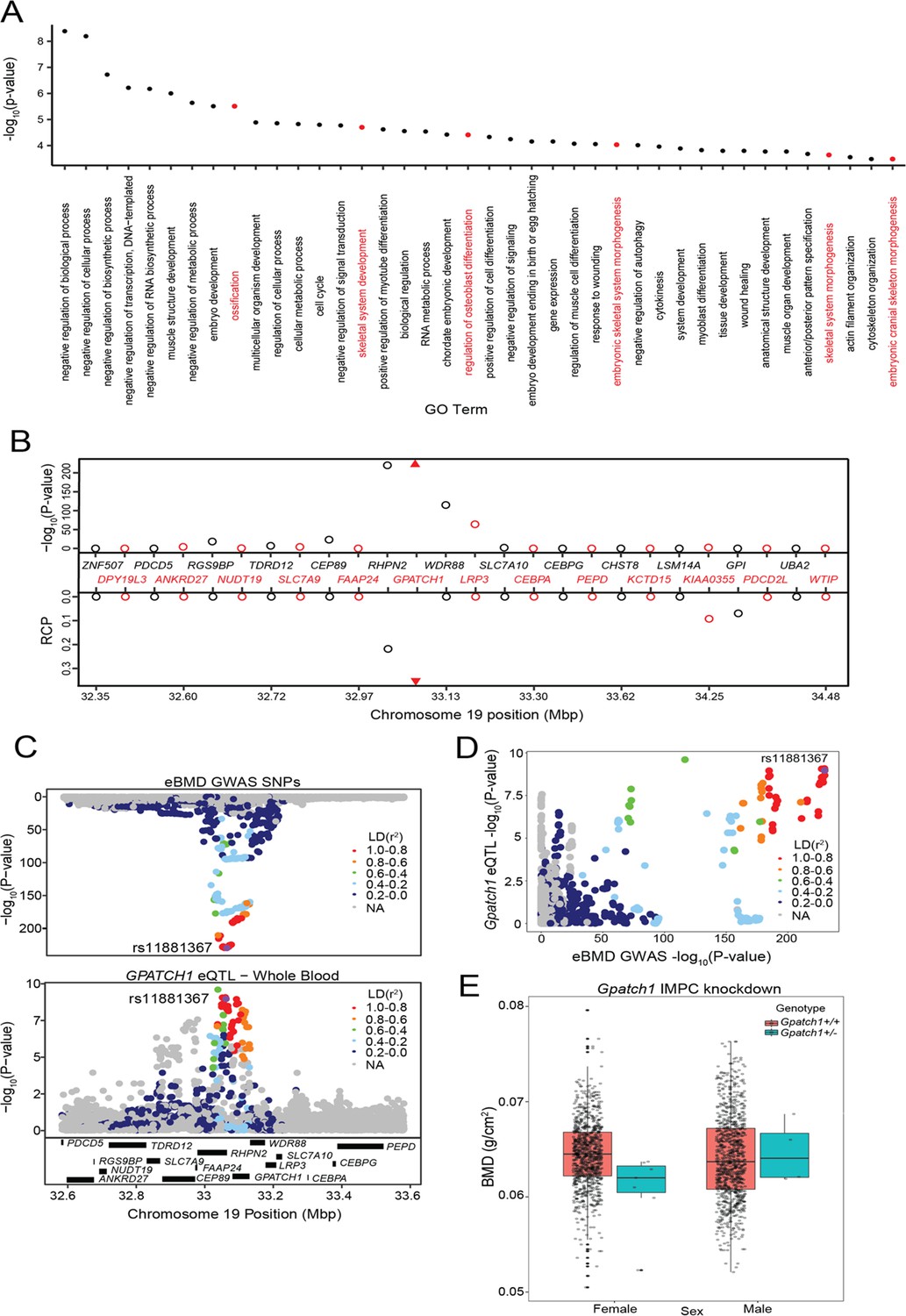 Transcriptome Wide Association Study And Eqtl Colocalization Identify