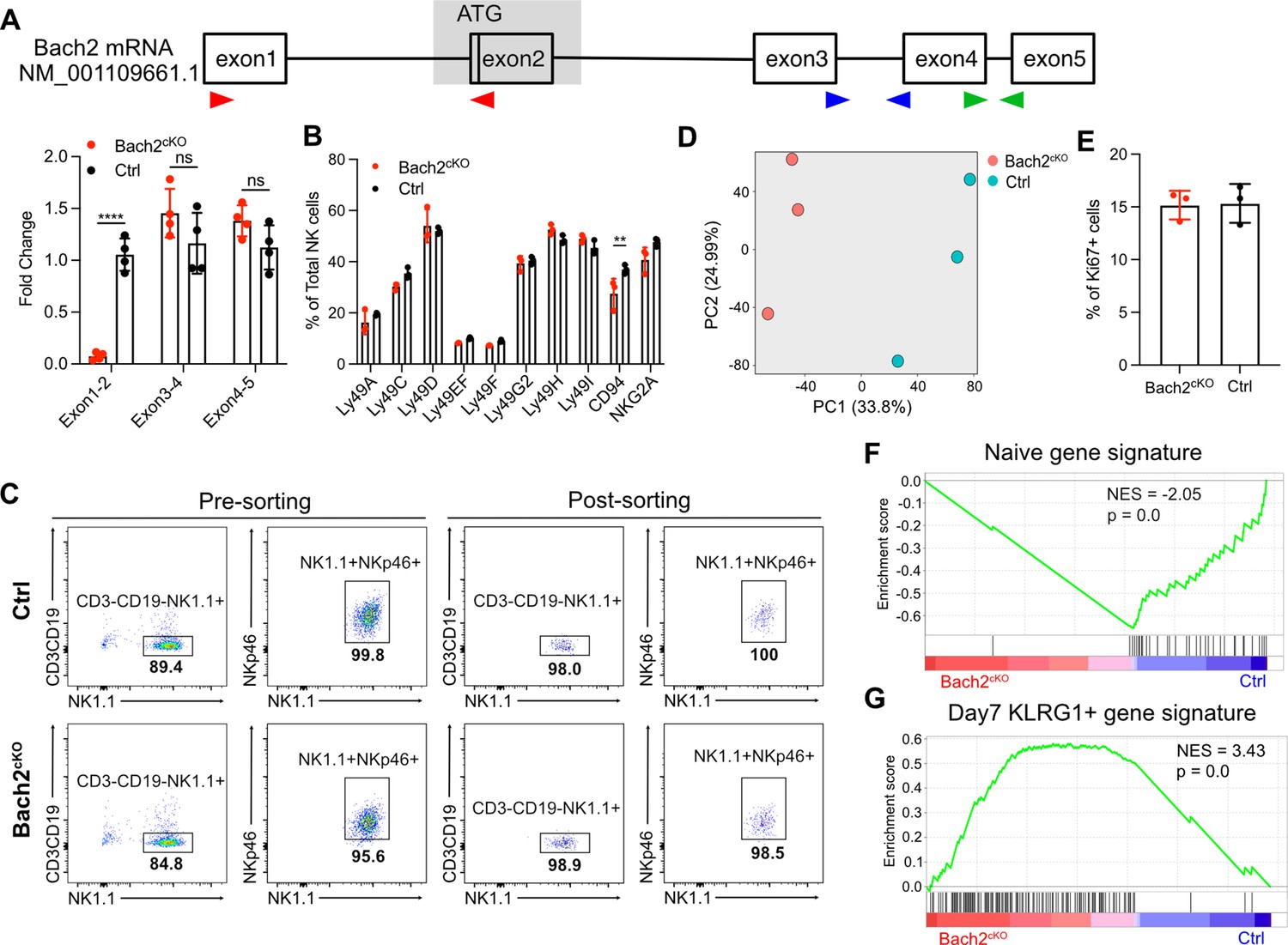 Figures and data in The transcription factor Bach2 negatively regulates ...