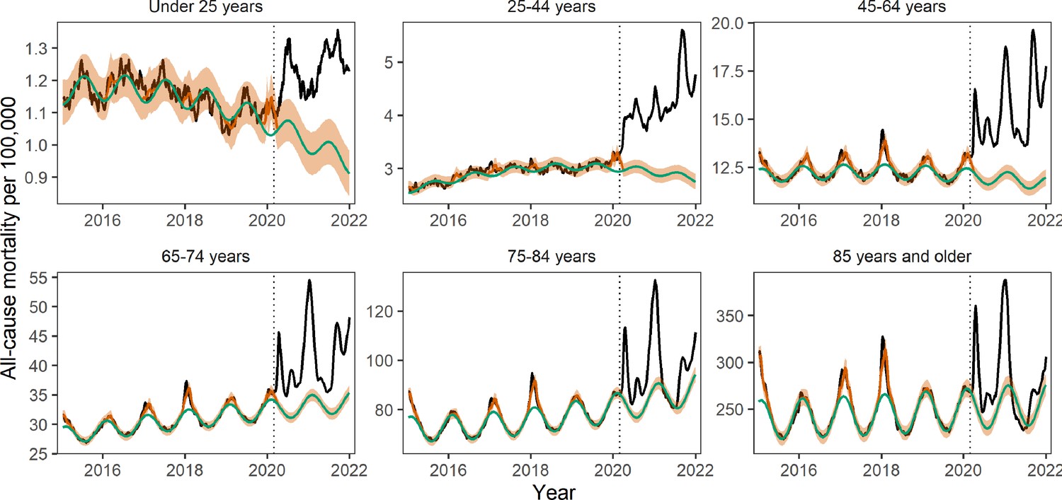 Figures and data in Direct and indirect mortality impacts of the COVID