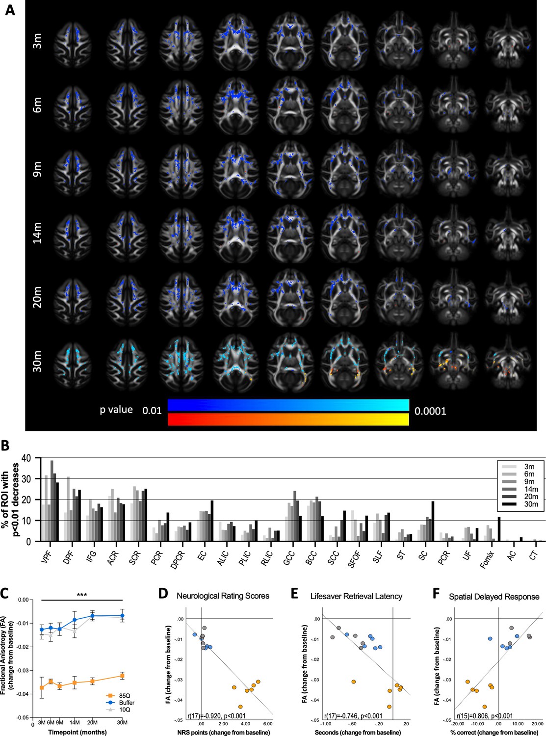 Synapse X V1 2.7 - Colaboratory