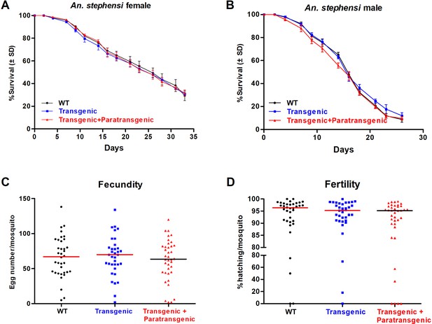 Combining transgenesis with paratransgenesis to fight malaria | eLife