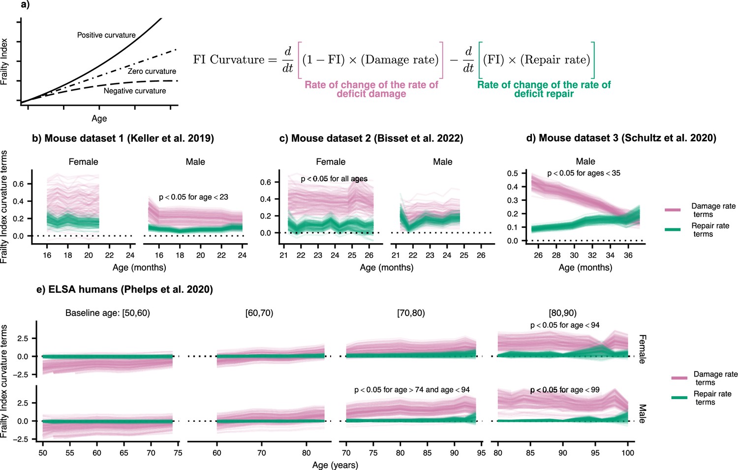 Measurements Of Damage And Repair Of Binary Health Attributes In Aging ...