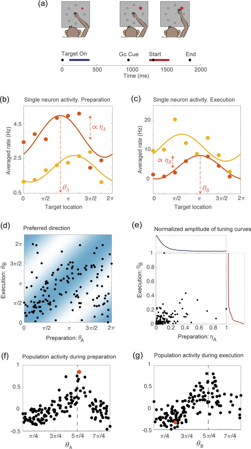 Computational Electrophysiology: Dynamical Systems and Bifurcations， A First Course in Frontiers | Computational Modeling of Electrophysiology and