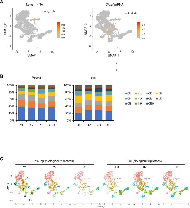 Figures And Data In Single-cell Analysis Of Skeletal Muscle Macrophages ...