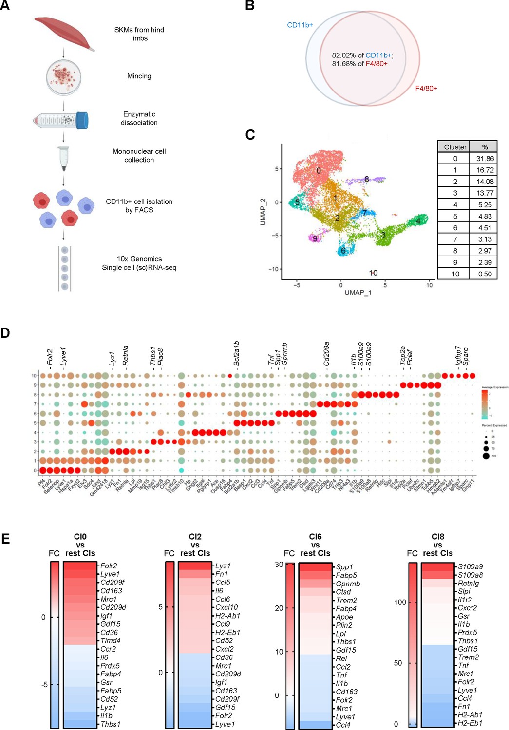 Figures And Data In Single-cell Analysis Of Skeletal Muscle Macrophages ...