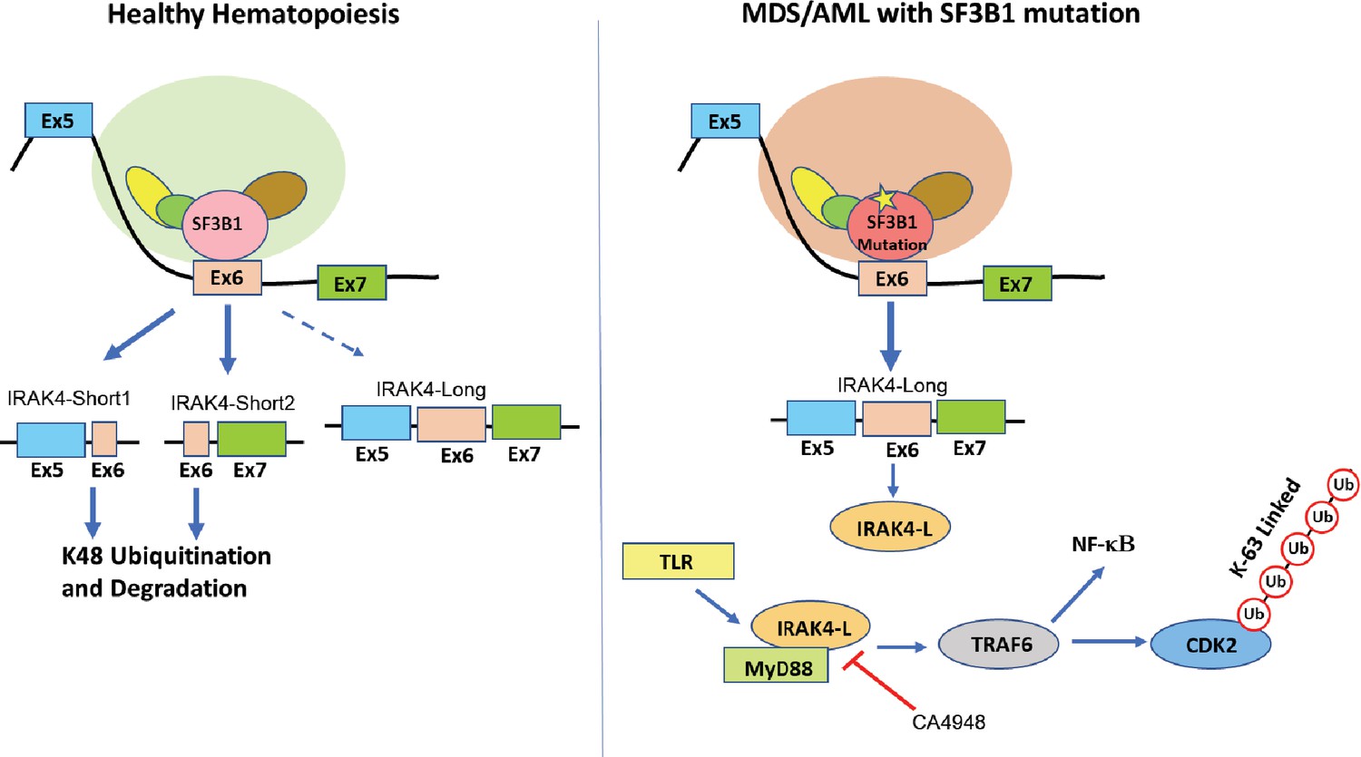 Figures and data in Activation of targetable inflammatory immune ...