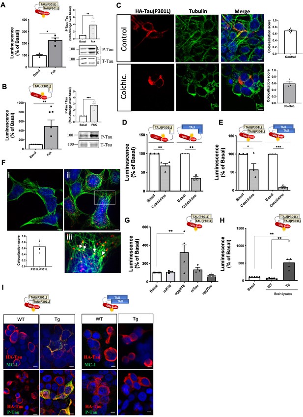 Novel Repertoire Of Tau Biosensors To Monitor Pathological Tau ...