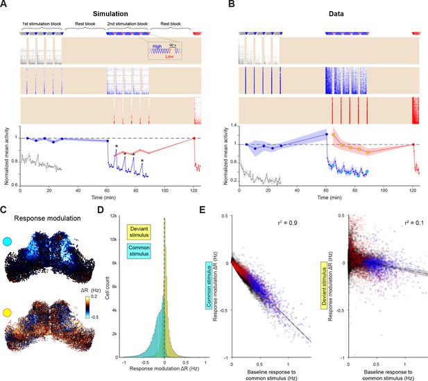 Recurrent Network Interactions Explain Tectal Response Variability And ...