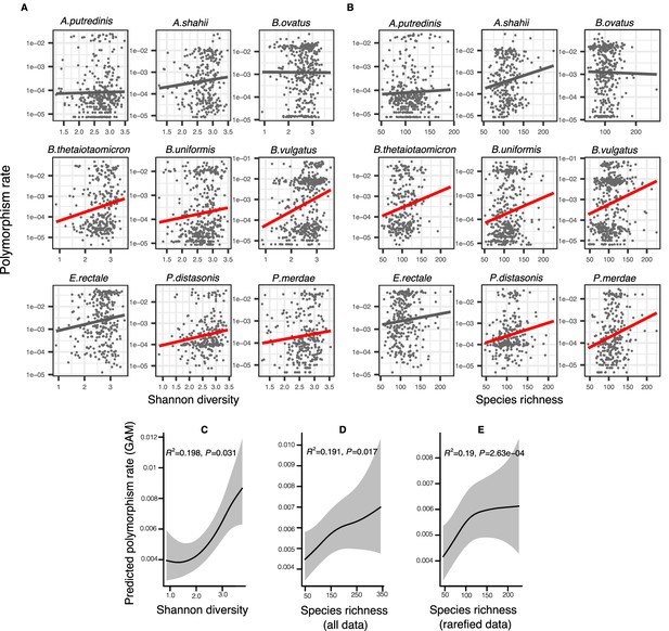 Community Diversity Is Associated With Intra Species Genetic Diversity