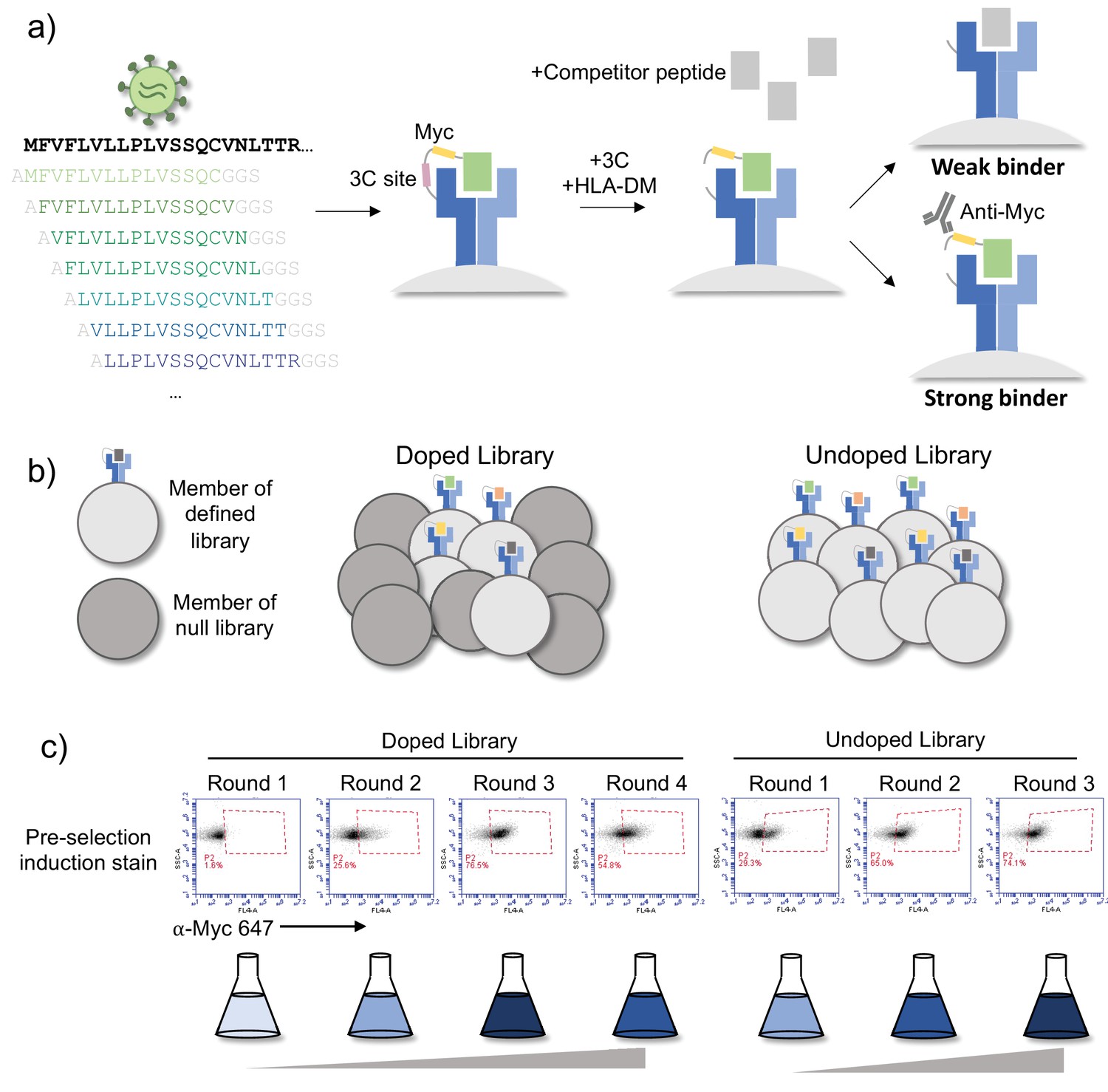 A high-throughput yeast display approach to profile pathogen proteomes ...