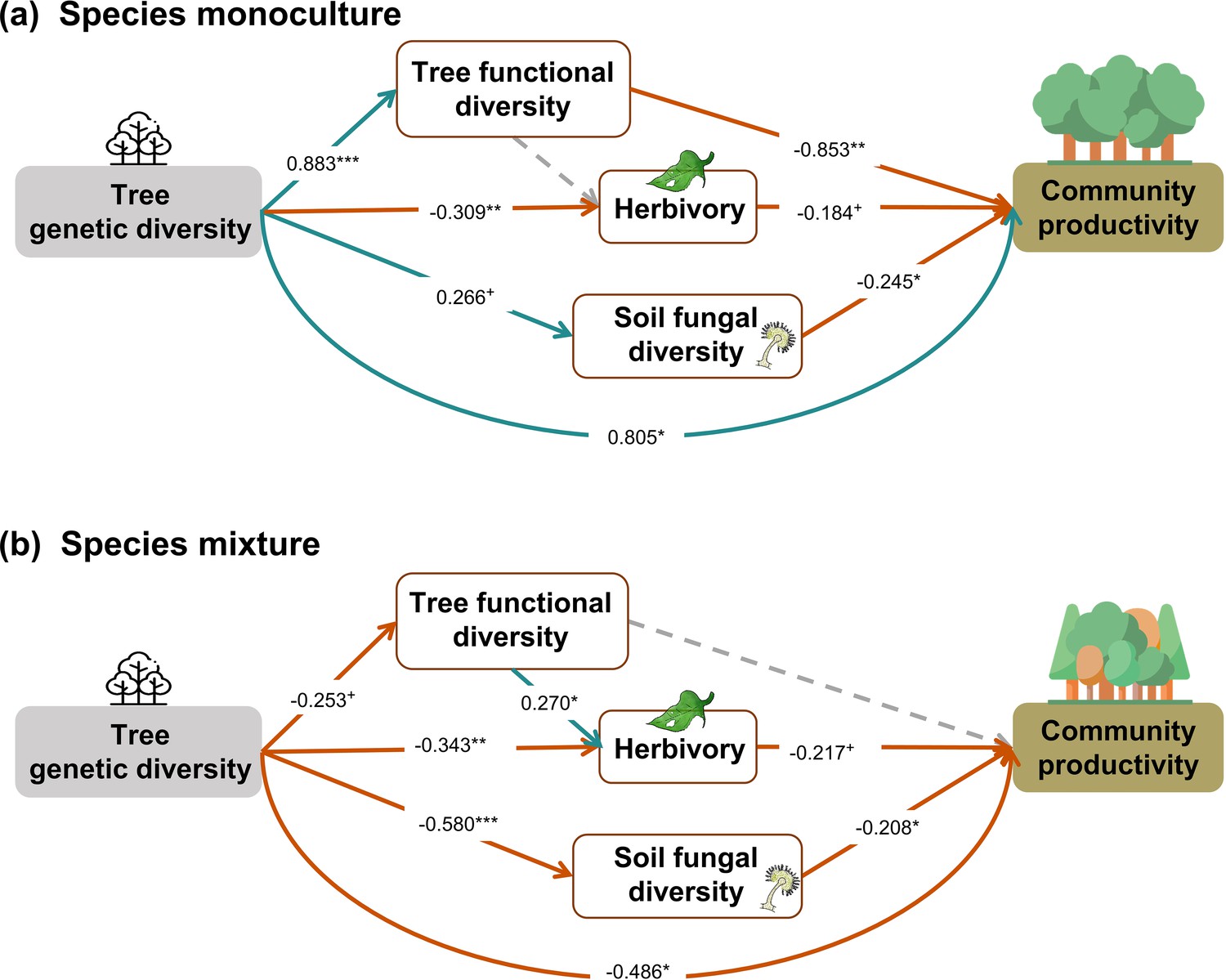 Tree Species And Genetic Diversity Increase Productivity Via Functional ...