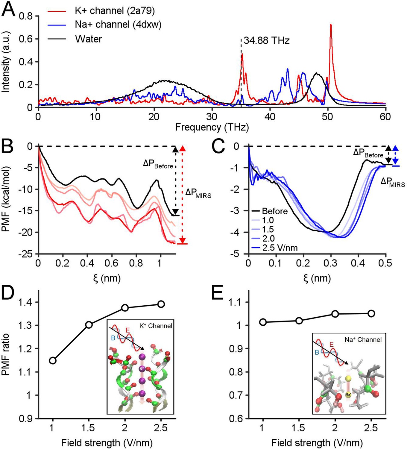 Sensory Input-dependent Gain Modulation Of The Optokinetic Nystagmus By ...