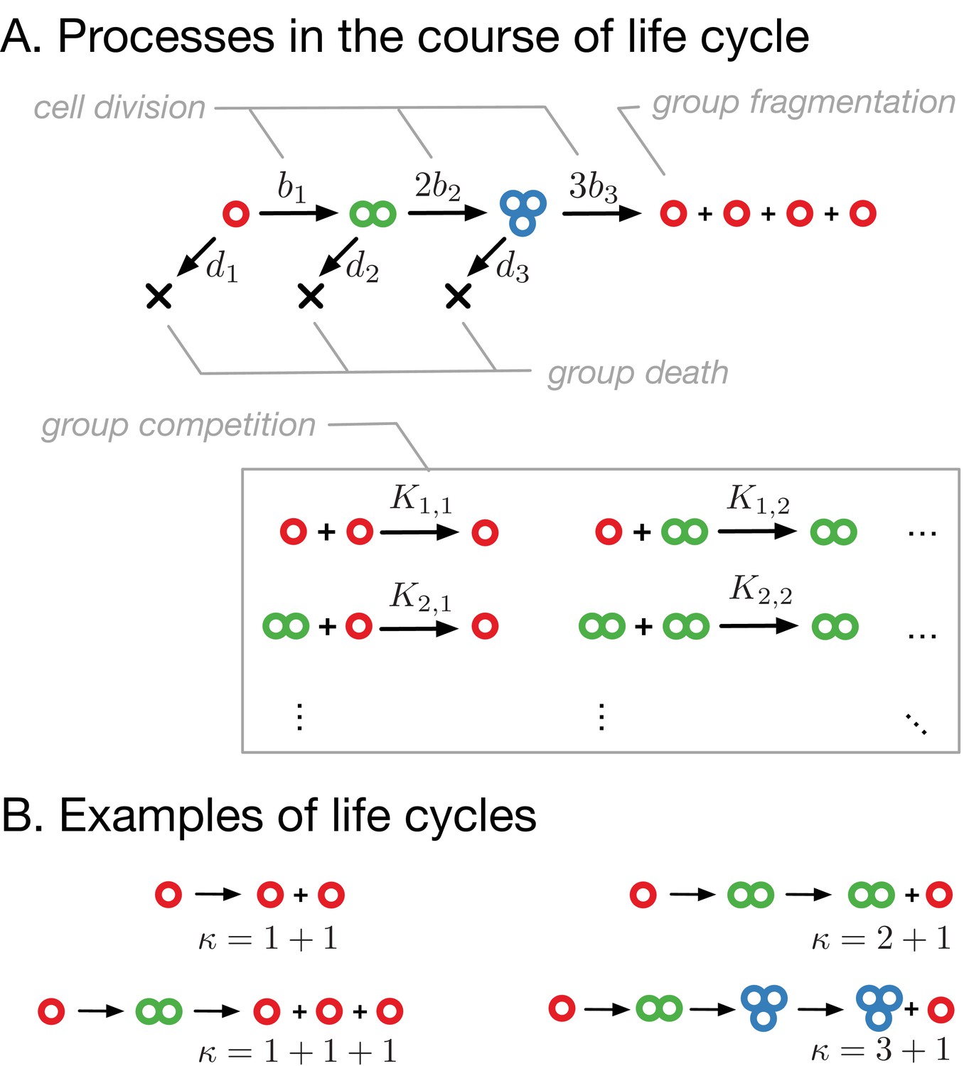 Amazon.com: Evolutionary Dynamics: Exploring the Equations