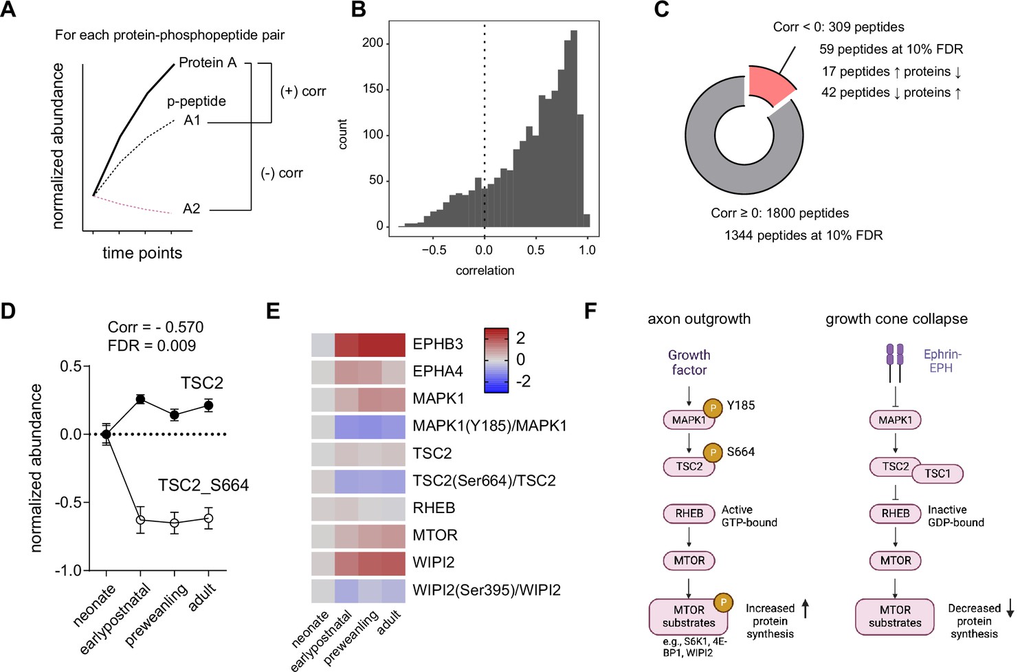 Synapse type-specific proteomic dissection identifies IgSF8 as a